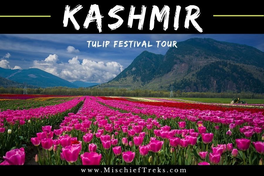 KASHMIR TOUR Image